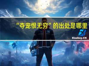“夺宠恨无穷”的出处是哪里