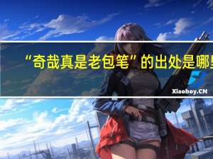 “奇哉真是老包笔”的出处是哪里