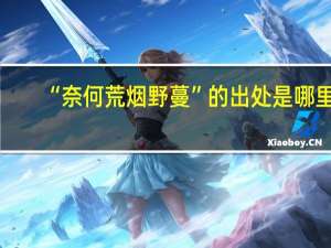 “奈何荒烟野蔓”的出处是哪里
