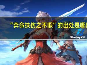 “奔命扶伤之不暇”的出处是哪里