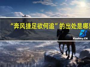 “奔風捷足欲何追”的出處是哪里