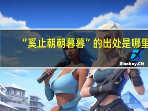 “奚止朝朝暮暮”的出处是哪里