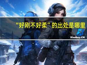 “好刚不好柔”的出处是哪里