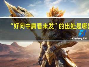 “好向中庸看未发”的出处是哪里
