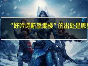 “好吟诗断望潮楼”的出处是哪里