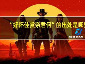 “好怀佳赏奈君何”的出处是哪里