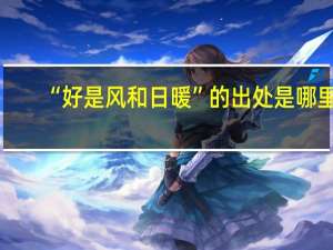 “好是风和日暖”的出处是哪里