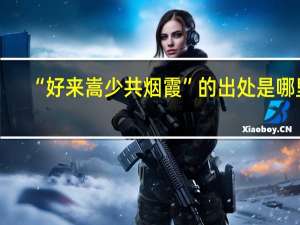 “好来嵩少共烟霞”的出处是哪里