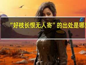 “好枝长恨无人寄”的出处是哪里