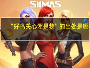 “好鸟关心浑是梦”的出处是哪里