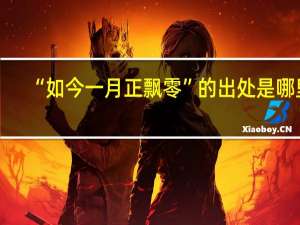“如今一月正飘零”的出处是哪里