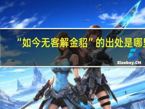 “如今无客解金貂”的出处是哪里