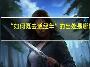 “如何既去遂经年”的出处是哪里