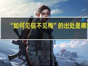 “如何见砚不见梅”的出处是哪里