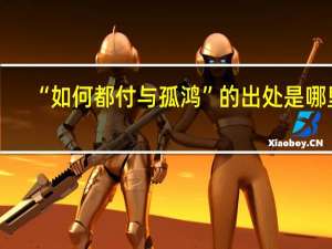 “如何都付与孤鸿”的出处是哪里