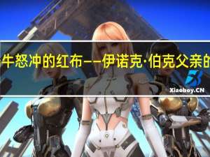 “如同公牛怒冲的红布——伊诺克·伯克父亲的侵犯罪判决”