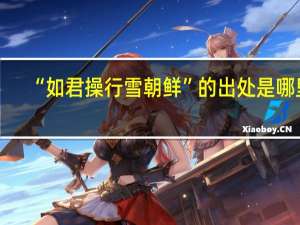 “如君操行雪朝鲜”的出处是哪里