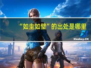 “如圭如璧”的出处是哪里