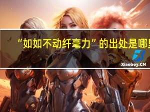 “如如不动纤毫力”的出处是哪里