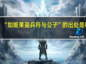 “如姬果盗兵符与公子”的出处是哪里