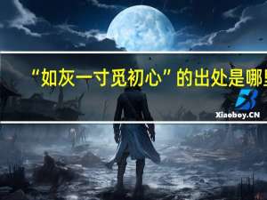 “如灰一寸觅初心”的出处是哪里