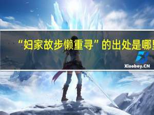 “妇家故步懒重寻”的出处是哪里