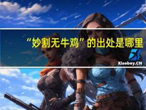 “妙割无牛鸡”的出处是哪里