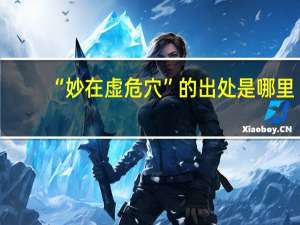 “妙在虚危穴”的出处是哪里