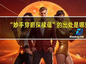 “妙手穿窬探椟蕴”的出处是哪里