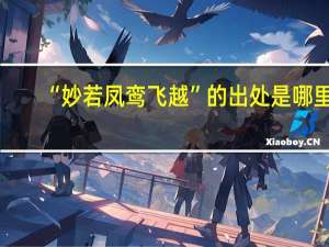 “妙若凤鸾飞越”的出处是哪里
