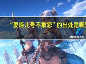 “妻啼儿号不敢怨”的出处是哪里