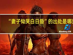 “妻子恸哭白日昏”的出处是哪里