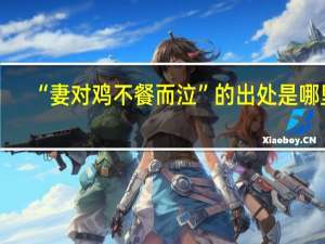 “妻对鸡不餐而泣”的出处是哪里