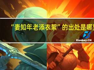 “妻知年老添衣絮”的出处是哪里