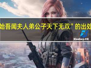 “始吾闻夫人弟公子天下无双”的出处是哪里