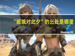 “姮娥对此夕”的出处是哪里
