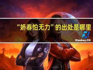 “娇春怕无力”的出处是哪里