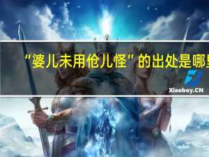 “婆儿未用伧儿怪”的出处是哪里