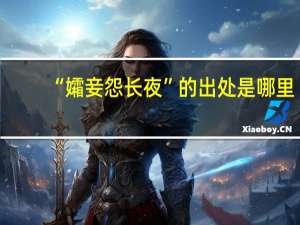 “孀妾怨长夜”的出处是哪里