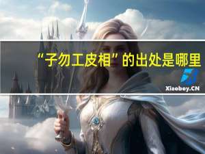 “子勿工皮相”的出处是哪里