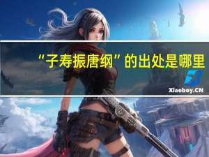 “子寿振唐纲”的出处是哪里