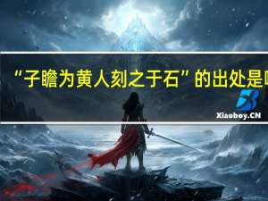 “子瞻为黄人刻之于石”的出处是哪里