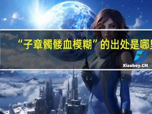 “子章髑髅血模糊”的出处是哪里