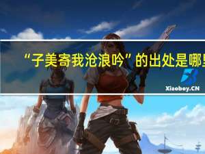 “子美寄我沧浪吟”的出处是哪里