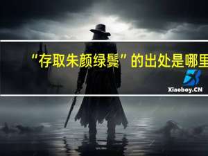 “存取朱颜绿鬓”的出处是哪里