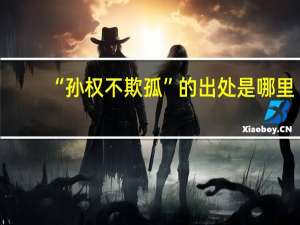 “孙权不欺孤”的出处是哪里