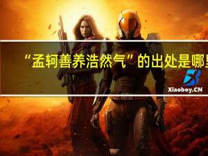 “孟轲善养浩然气”的出处是哪里