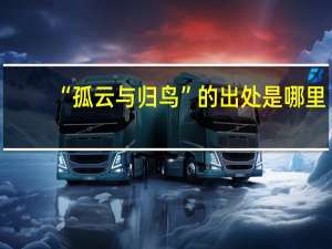 “孤云与归鸟”的出处是哪里