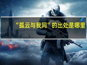 “孤云与我同”的出处是哪里
