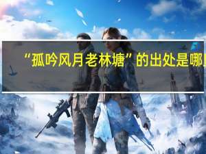 “孤吟风月老林塘”的出处是哪里
